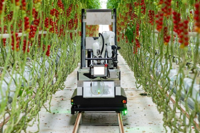 Japon Denso üretti! Robotlar tarım hasadına başlıyor