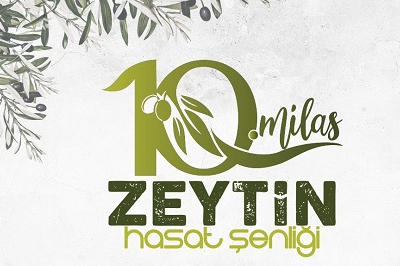 Milas Zeytin Hasat Şenliği 16 Kasımda başlıyor