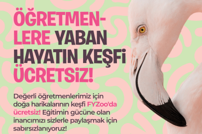 FYZoo, tüm öğretmenlere kapılarını ücretsiz olarak açıyor